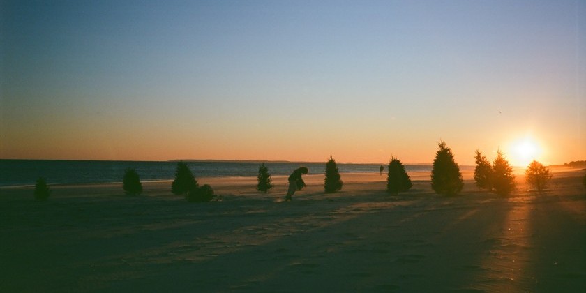 m i c c a presents "P I N E" at Rockaway Beach (FREE)