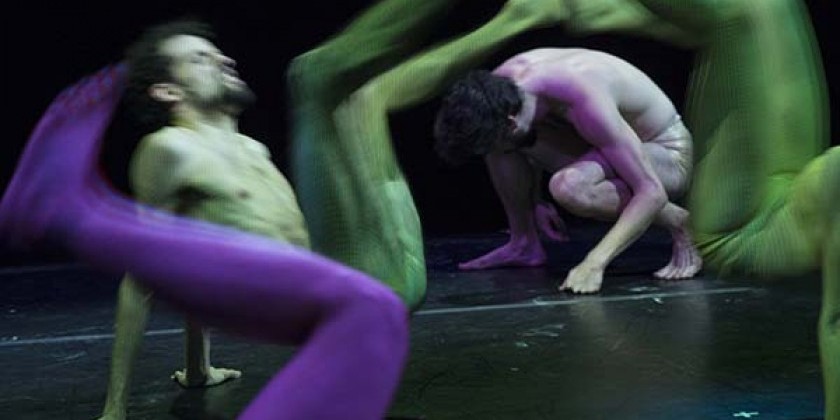 LEIMAY LUDUS Community Classes with LEIMAY Artistic Director and Ensemble Members