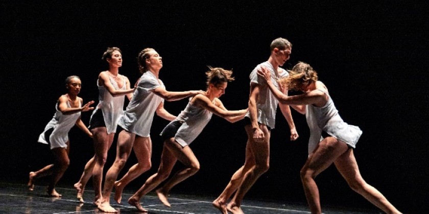 Stephen Petronio Company Seeks Male Dancer
