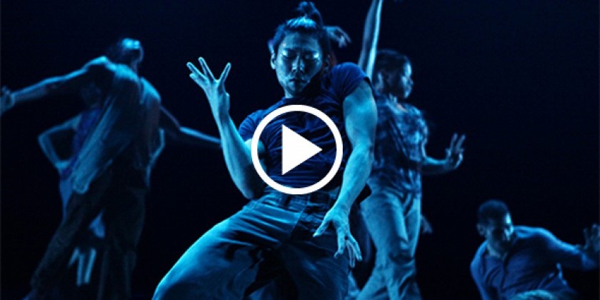 Cedar Lake comes to BAM with works by Hofesh Shechter, Crystal Pite & more!&rlm; 