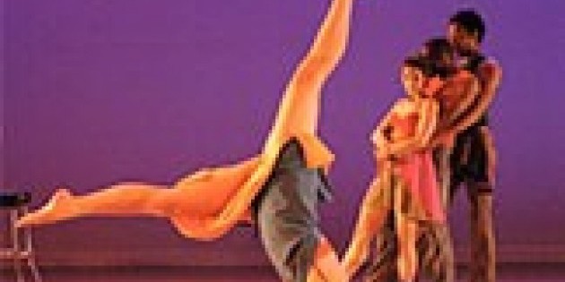 C. Eule Dance: Clean Springing X