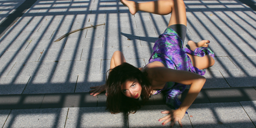 Como ser artista y no morir en el intento (How to be an artist and not die trying)