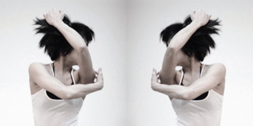 The American Dance Festival 2013 is this week! Buy your tickets now!&rlm;