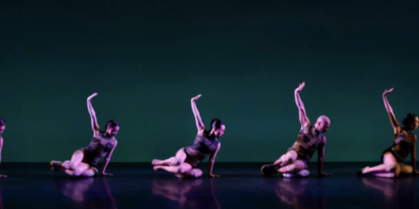 Amanda Selwyn Dance Studio Presents FOOTPRINTS Dance Festival - Applications to Open 9/22