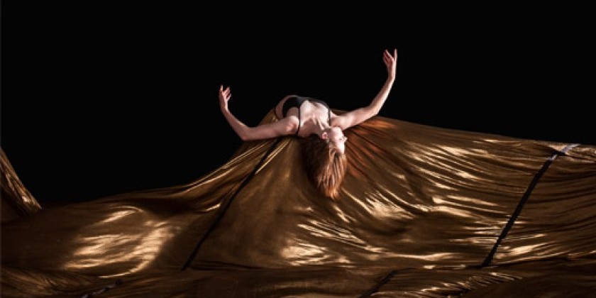 Fridays at Noon: Satellite Collective, a new bright paradigm