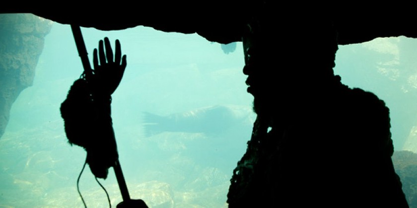 SHEZAD DAWOOD presents "It was a time that was a time" as part of Crossing the Line 2015