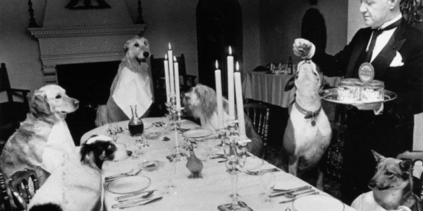 Place your bids & chow down! The Dixon Place 2014  Gala Donor Dinner & Auction