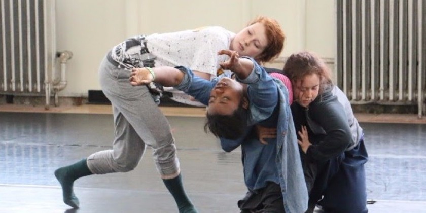 Doug Varone and Dancers (DOVA) seeks Development Officer