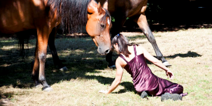 The Equus Projects Premieres "Grazing Gracefully" - A wacky tea party for humans and horses...