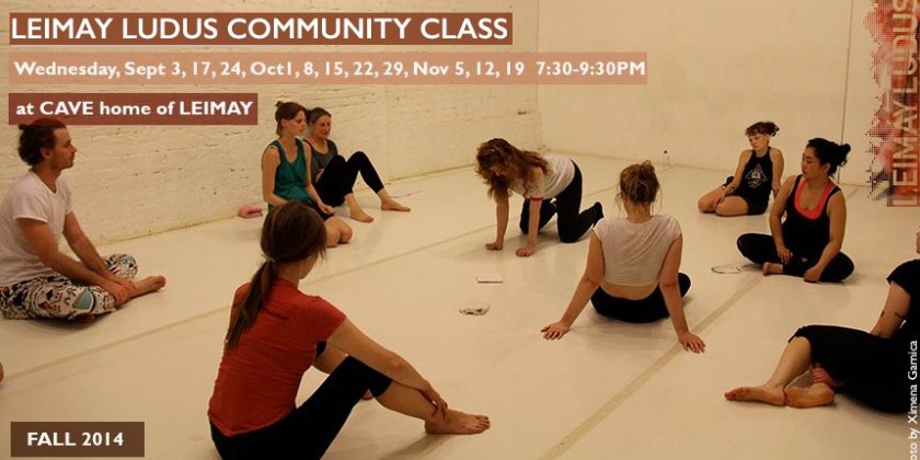 Announcing Early Bird Discount on Winter LEIMAY Ludus Labs!