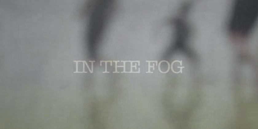 IN THE FOG by Rose & Stags