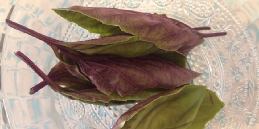 Food for Thought at Danspace Project