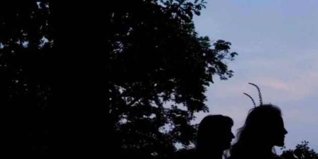 &Acirc;&frac12; A CANARY TORSI