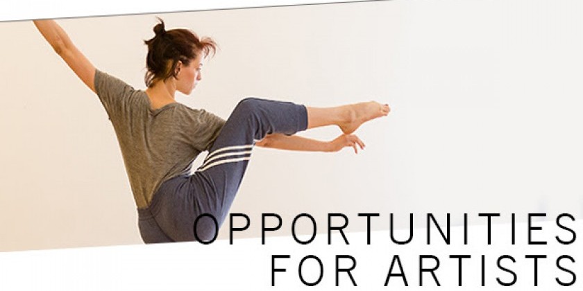 Open Call for politically-minded visual art