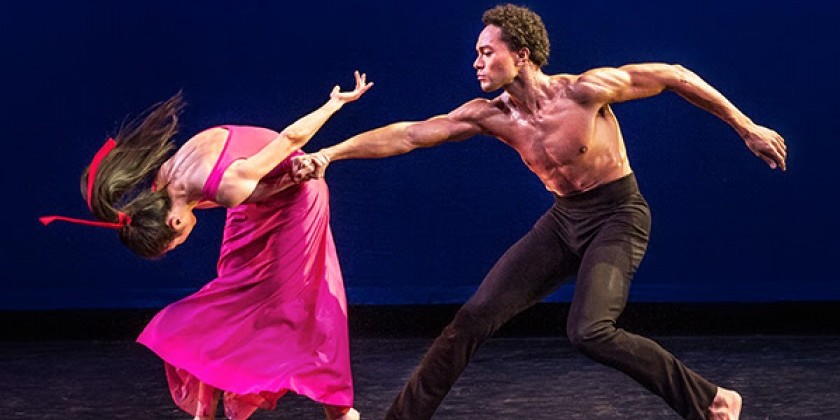 GrahamDeconstructed: Embattled Garden up close