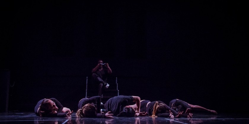 Alternative Synergy The Company Summer Intensive 