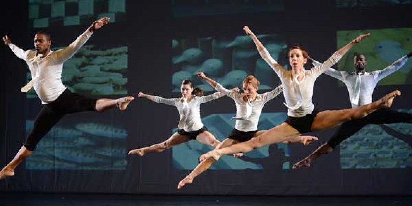 Battery Dance seeks Studio Coordinator | Full Time Position