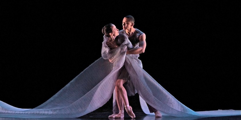 Seeking male dancer for the 2014/15 season