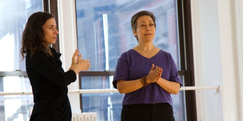 DISSECTING THE SCIENCE OF YOGA: How to be Informed Connoisseurs of Yoga and Translate Science Literature