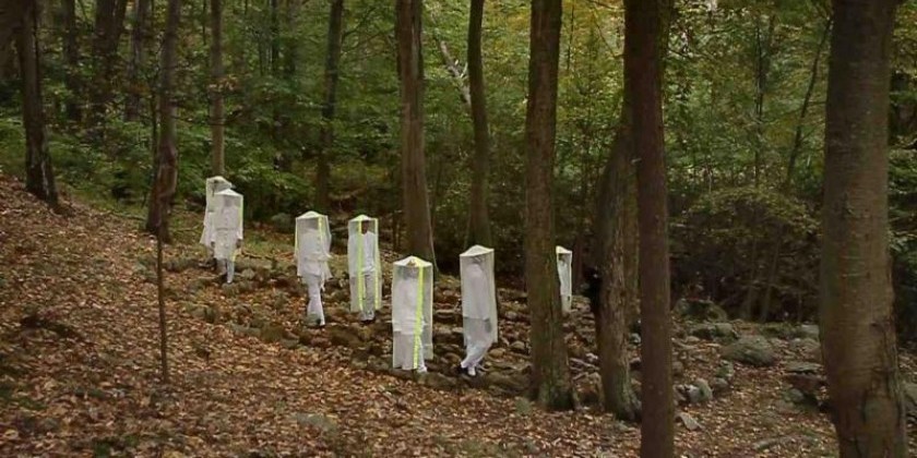 A Fall Update on Jill Sigman/Thinkdance & BAC showings