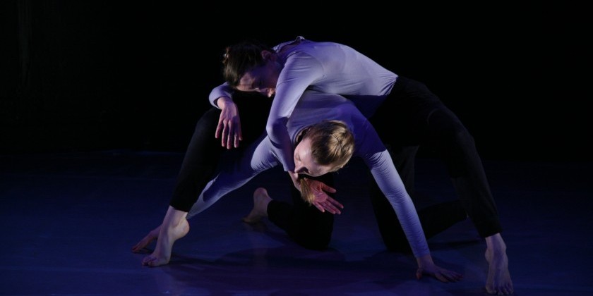 "The bird has more friends than me" at Soaking WET