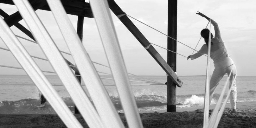 Upcoming Performance // human kinetics movement arts