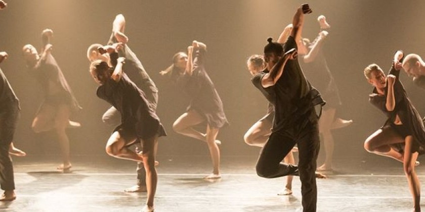 Philadelphia: In the Studio with Koresh Dance Company