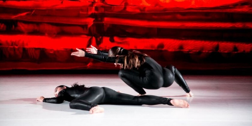 LeeSaar Company w/ dancers from Batsheva at BRIC's Celebrate Brooklyn festival