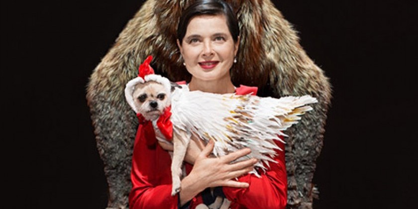 Baryshnikov Arts Center Presents Isabella Rossellini's "Link Link Circus"