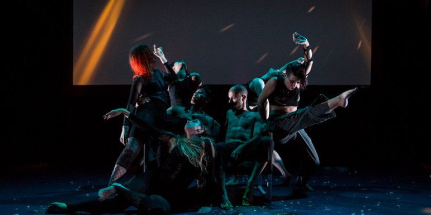 The Exponential Festival: "THE LOON" by Witness Relocation