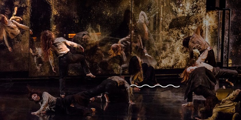 James Thierr&eacute;e/Compagnie du Hanneton at BAM