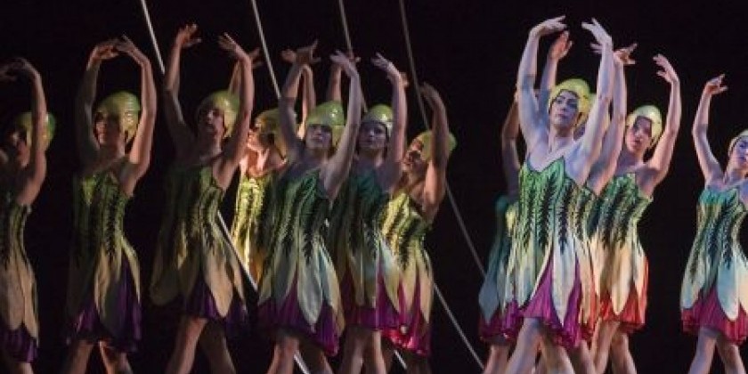 Dance with Mark Morris Dance Group - Adults only class