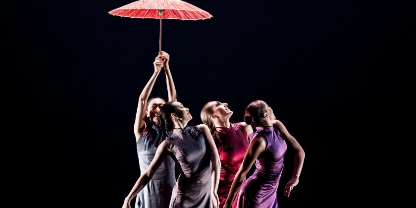 Lunar New Year Celebration