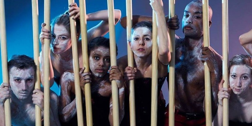 JERSEY CITY: Nimbus Dance Works Seeks a Grant Writer