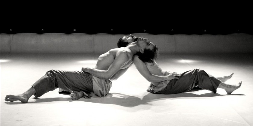 ANIMALINSIDE and THE ANGOLA PROJECT