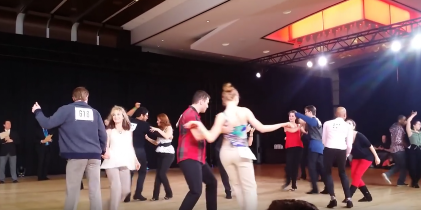 Wild Connection Workshops