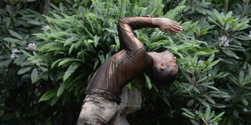 Amanda Selwyn Dance Theatre presents "GREEN AFTERNOON III"