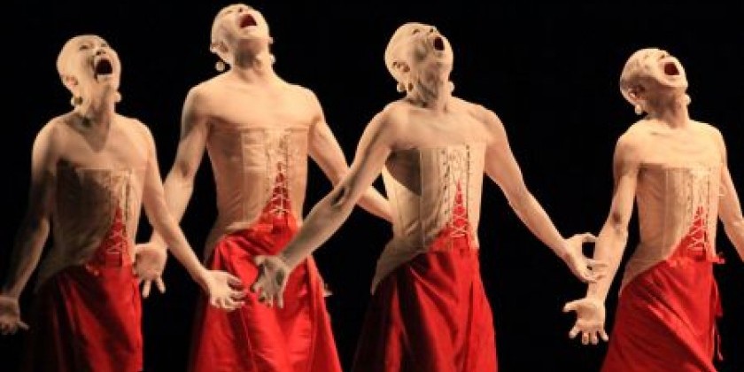 Sankai Juku - What Makes A Body Move?