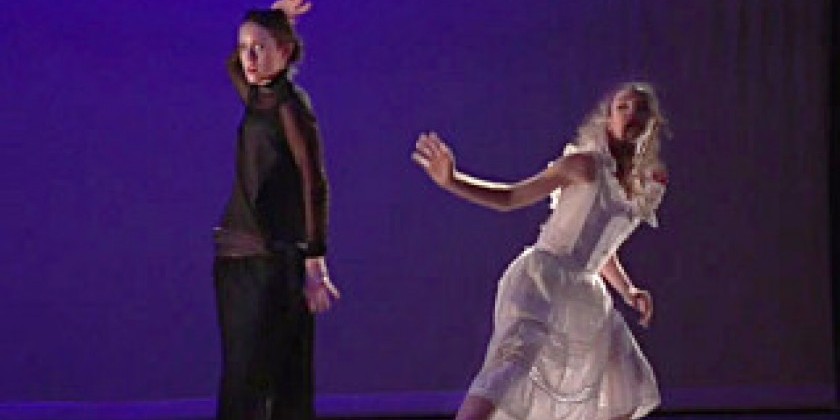 THE DEBORAH ZALL PROJECT: IN THE COMPANY OF WOMEN