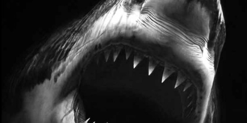 The Kitchen Spring Gala Benefit honoring Robert Longo&rlm;