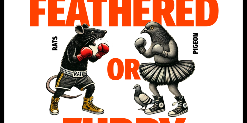 "Feathered or Furry" Fundraising Party for Petra Zanki Dance Company