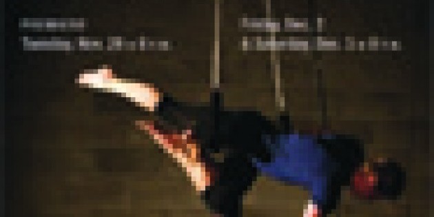 2011 NYC Aerial Dance Festival