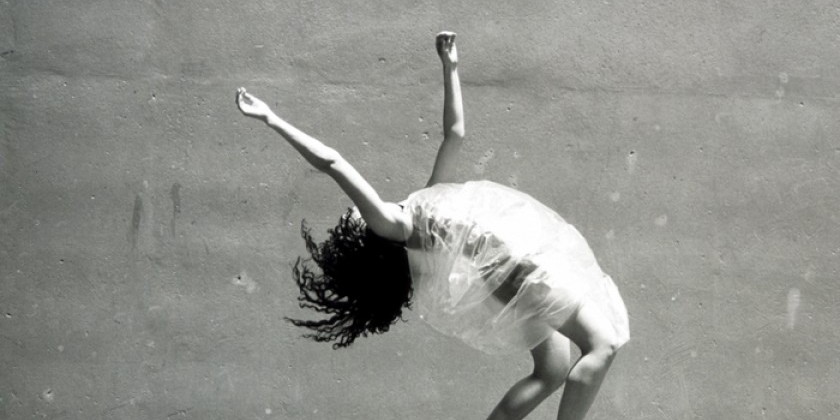 "How high is the ceiling in my glass castle?" A Guest Curated Series by Stefanie Nelson