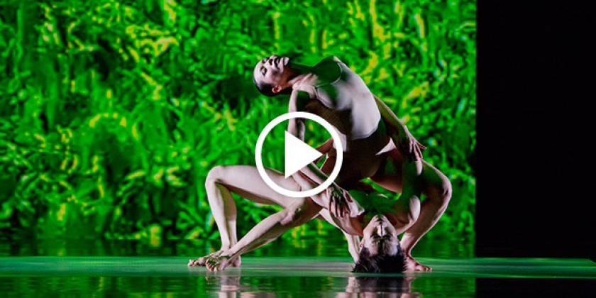 Into the fields with Taiwan&rsquo;s Cloud Gate Dance Theatre