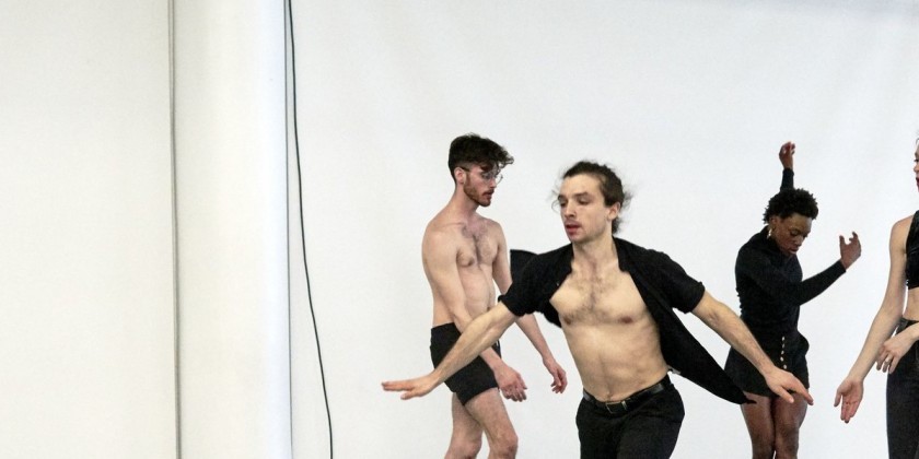 New Brooklyn Theatre and the feath3r theory announce "We May Never Dance Again" (world premiere)