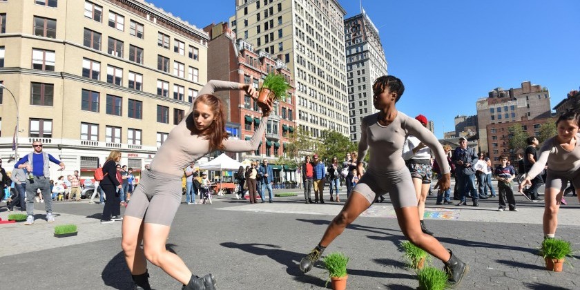 IMPRESSIONS OF: "In Celebration of Wheatgrass"