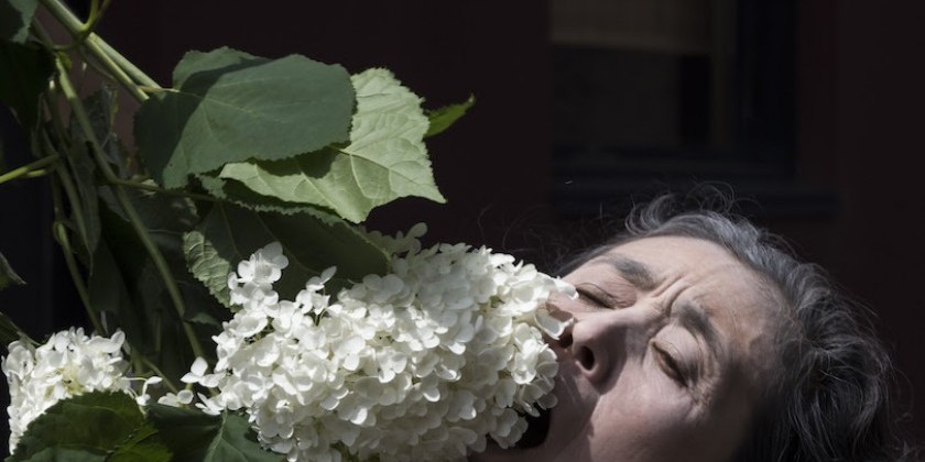 Soshitsu Sen XV Distinguished Lecture on Japanese Culture