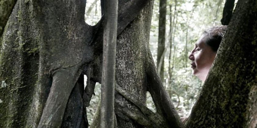 Anima at The Invisible Dog (co-presented with Tilt Kids Festival)