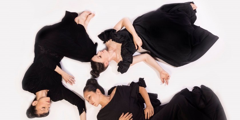 HOUSTON, TX: Vangeline Theater/New York Butoh Institute&nbsp;present Public Showing of&nbsp;"The Slowest Wave" (FREE)