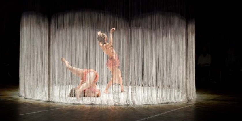 ZOE | JUNIPER : CLEAR & SWEET